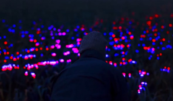Tehnologii inovative în agricultură: Razele UV sunt folosite pentru culturile exterioare